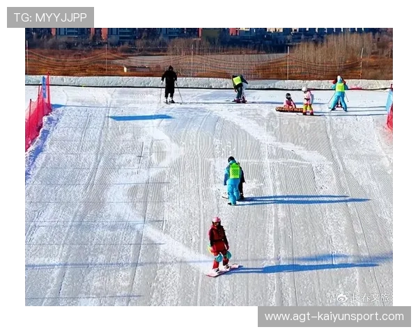 冰壶赛雪地突变，选手策略迅速调整引关注