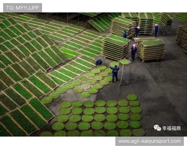 福建福鼎商家服务失范,社会舆论压力大,福鼎电商 福建福鼎商家服务失范,社会舆论压力大,福鼎电商